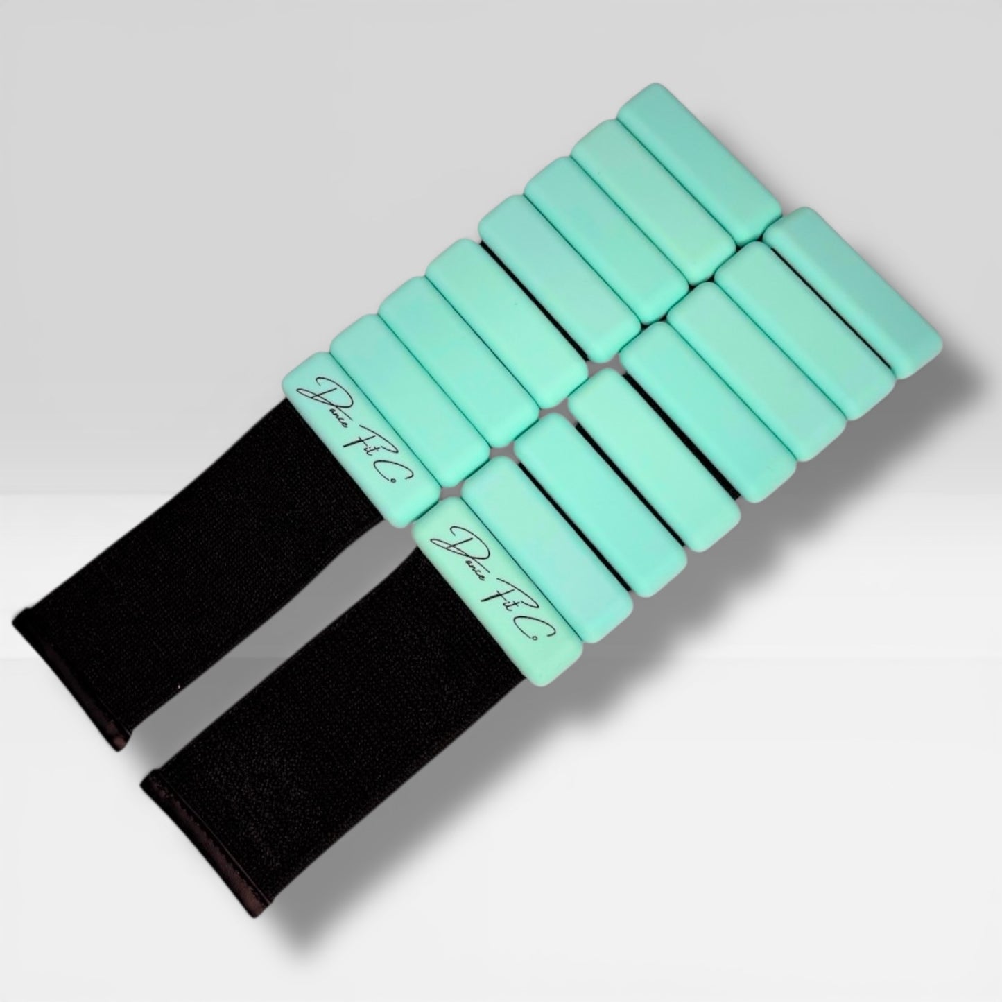 Training Weights — Coast