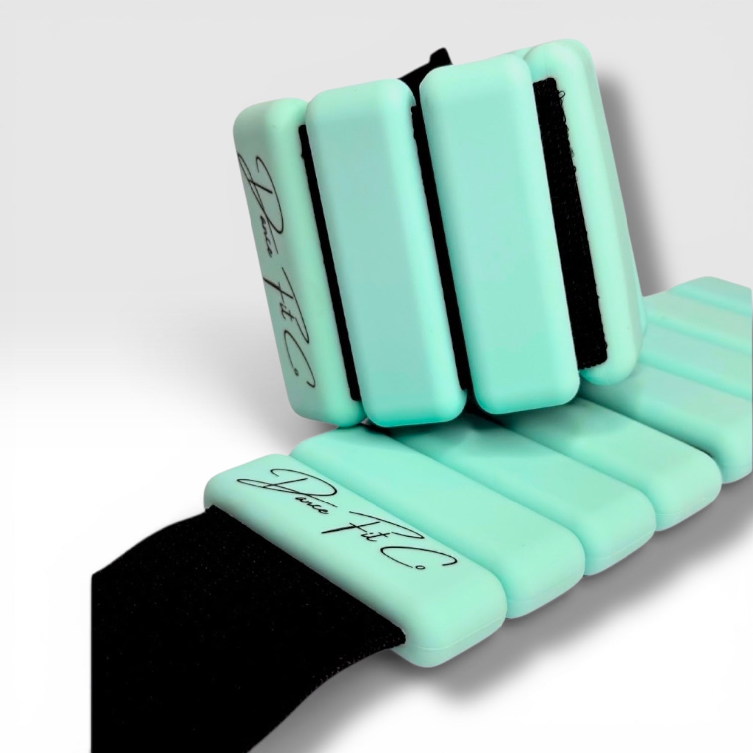 Coast ankle weights 500g each for dance and pilates conditioning — Dance Fit Co