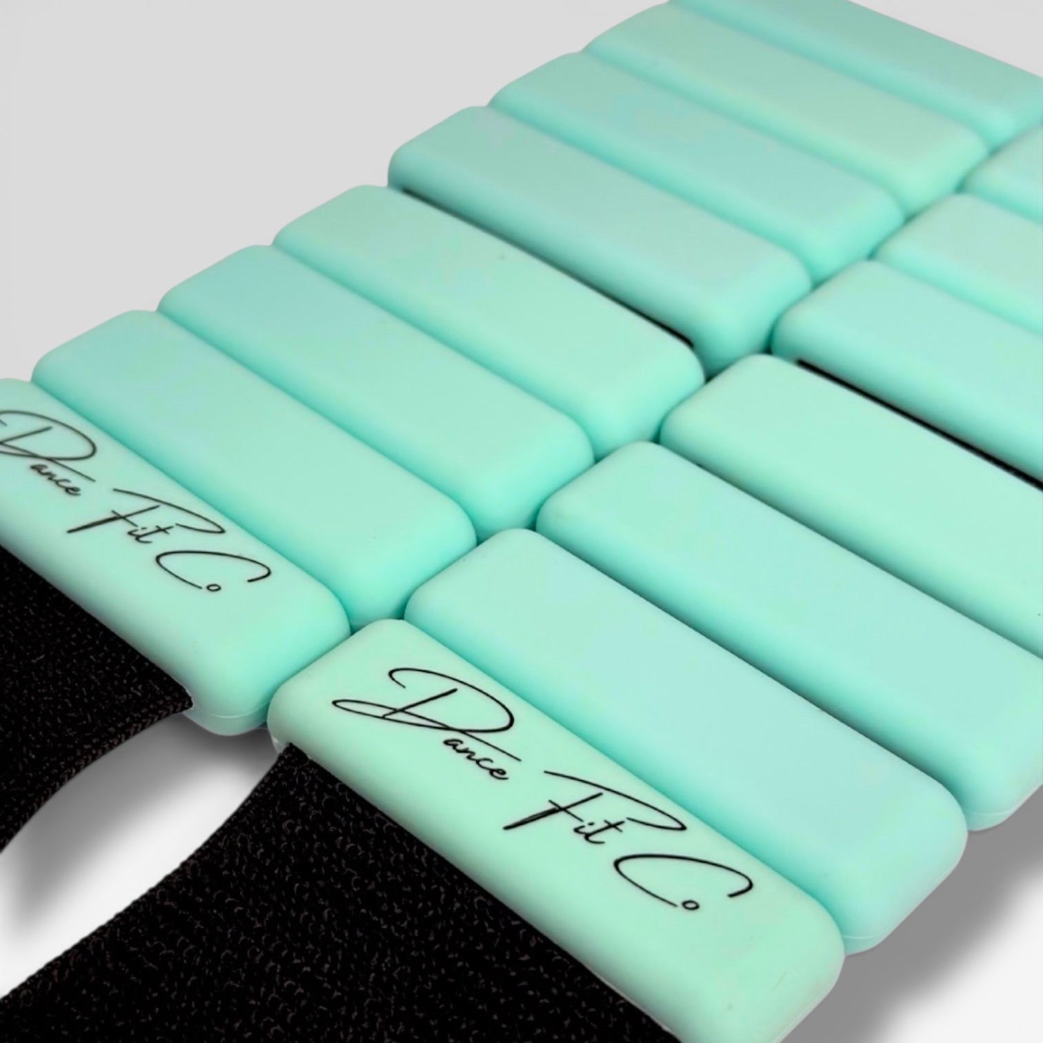 Coast ankle weights 500g each for dance and pilates conditioning — Dance Fit Co